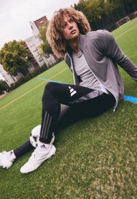 adidas Performance ALGERIA FAF TRAINING PANT - Article de supporter d'équipe nationale - black/team dark grey