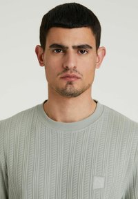 CHASIN' POINT - T-shirt basic - mid green