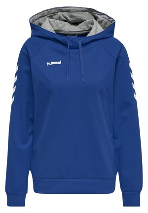 Blauwe hoodie met een grijze binnenkap, voorzien van witte strepen op de mouwen en een logo aan de voorkant. Gemaakt van zachte stof met een losse pasvorm.
