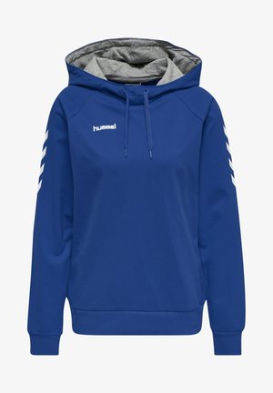 Blauwe hoodie met een grijze binnenkap, voorzien van witte strepen op de mouwen en een logo aan de voorkant. Gemaakt van zachte stof met een losse pasvorm.