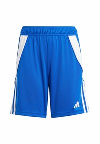 adidas Performance TIRO 24 - Kurze Sporthose - royal blue   white