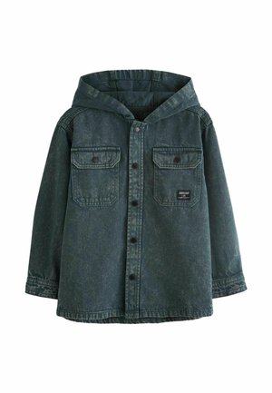 REGULAR FIT - Pluus - vintage
