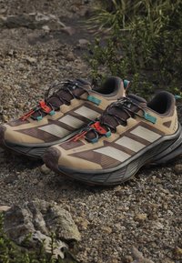 Μπεζ και καφέ παπούτσια Adidas για τρέξιμο σε μονοπάτι με Gore-Tex, μαύρα κορδόνια και κόκκινες και μπλε λεπτομέρειες σε βραχώδες έδαφος με πράσινα φυτά κοντά.