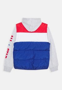 Chaqueta con capucha para niños con mangas grises y un cuerpo acolchado en rayas horizontales rojas, blancas y azules, vista desde la espalda.