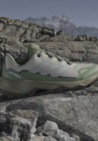 Chaussure de randonnée Adidas Terrex verte et beige sur un terrain rocheux avec des montagnes floues en arrière-plan.