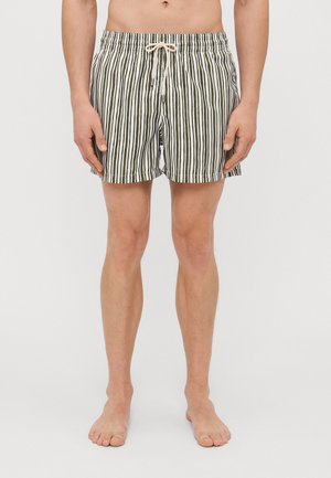 CLASSIC SWIM TRAZOS X ALVARO PICARDO - Zwemshorts - green