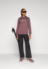 The North Face DREW PEAK LIGHT HOODIE - Luvtröja - tawny quartz/high rise grey