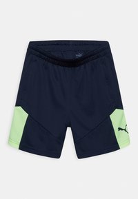 Puma INDIVIDUALFINAL TRAINING - Korte broeken - parisian night-fizzy light