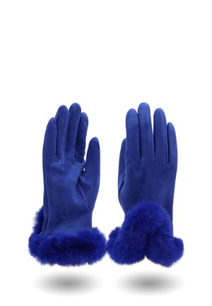 Un paio di guanti di camoscio blu reale con polsini in pelliccia morbida, mostrati sui lati del palmo e del dorso, isolati su sfondo bianco.