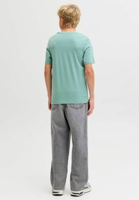 Mintgroen T-shirt met korte mouwen en een ronde hals, gedragen met lichtgrijze jeans met wijde pijpen en decoratieve stiknaden, gezien van de achterkant.