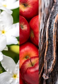 Vita blommor med mjuka kronblad, livfulla röda äpplen och mörka, texturerade vaniljstänger arrangerade vertikalt. Varje sektion är distinkt i färg och detalj.