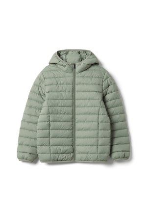 REGULAR FIT LIGHTWEIGHT WITH HOOD - Giacca invernale - light green