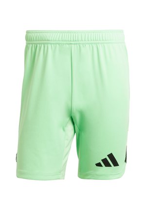 Mintgroene sportshorts van lichtgewicht stof, met een zwart logo op de linkerkant van de zoom en een elastische tailleband.