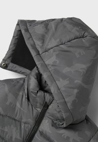 Graue Daunenjacke mit Kapuze, die ein Dinosauriermuster in einem etwas helleren Farbton zeigt. Sichtbarer Reißverschluss und weiche Innenauskleidung.