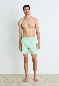Myntgrønne badebukser med ribbet struktur, elastisk talje og snor. Modellen står barføtt mot en enkel lys bakgrunn.