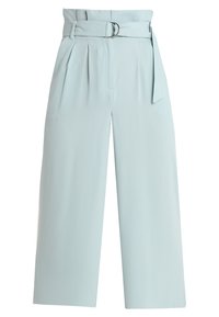 Light blue wide-leg trousers with a belted waist, featuring soft fabric, pleats at the front, and a sleek, minimalist design.