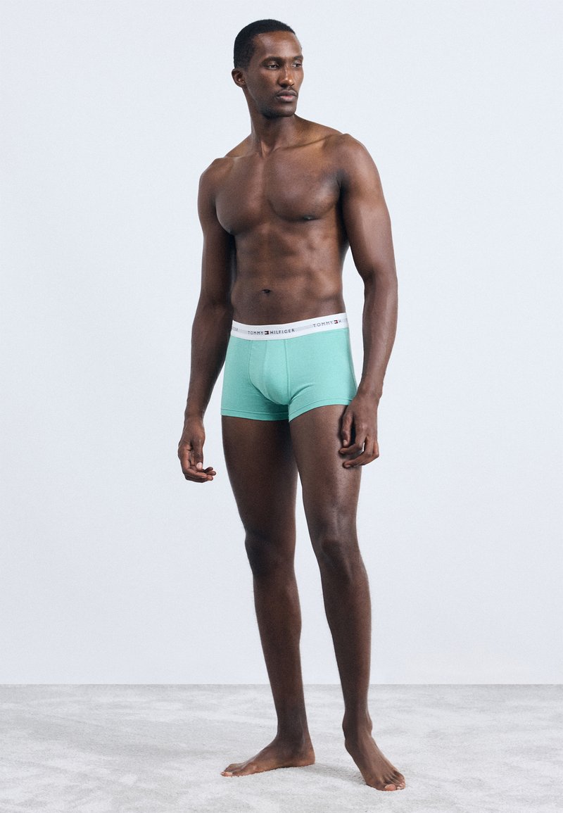 Mátově zelené boxerky s bílým elastickým pasem s logem. Model stojí bos, mírně natočený do strany.