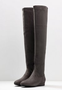Botas gris hasta la rodilla hechas de suave ante con una textura lisa, que cuentan con un cierre de cremallera lateral y un tacón bajo tipo cuña.