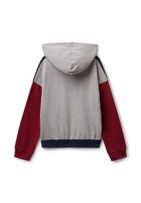 Felpa con cappuccio di colore grigio con maniche bordeaux e polsini e orlo blu navy, mostrata da dietro su uno sfondo bianco.