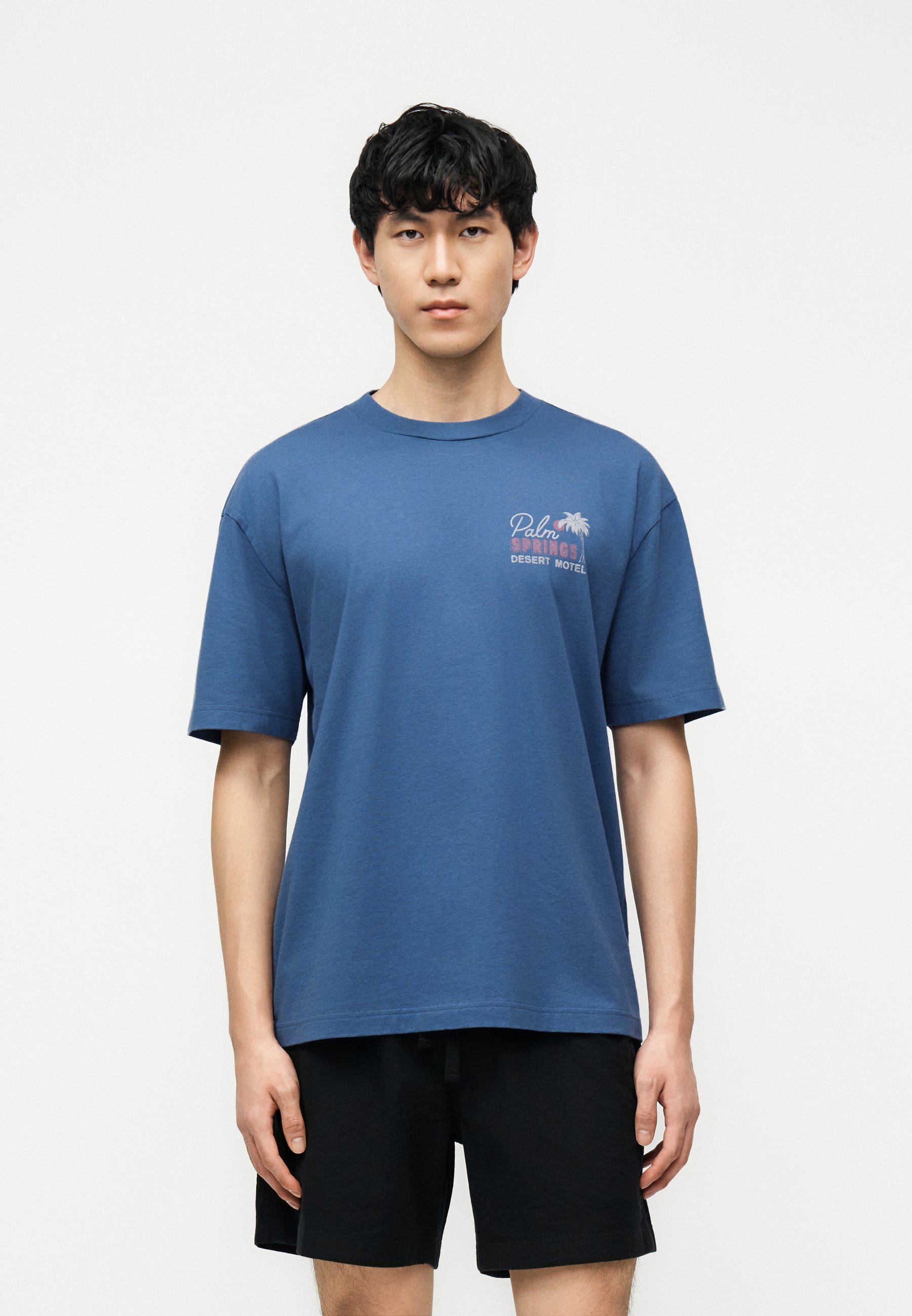 Hollister Co. T-Shirt print - blue/blau - Zalando.ch