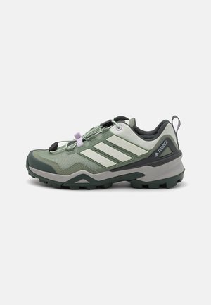 TERREX SKYCHASER - Hiking shoes - linen green/off white/silver dawn