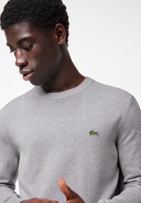 Grijze gebreide trui met ronde hals. Kenmerkt een geborduurd groen krokodillenlogo op de linkerkant van de borst. Soepele textuur, ribgebreide manchetten en onderrand.