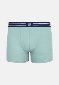 Hele-rohelised meeste bokserid tumelsinise vöökorra ja valgete triipudega ning esiküljel väikese kilbiga logoga.