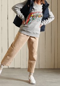 Superdry & Co Felpa - grey