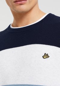 Primer plano de un hombre que lleva un suéter de punto en tonos azul marino, blanco y azul claro, con un pequeño logo de un pájaro amarillo en el pecho.