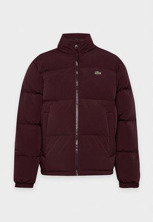Un homme se tient devant un fond blanc uni. Il porte une doudoune bordeaux, une casquette verte, un pantalon beige et des baskets marron.