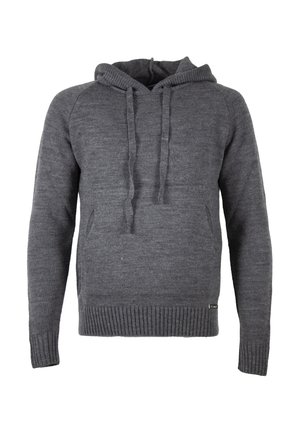 Felpa con cappuccio - grey