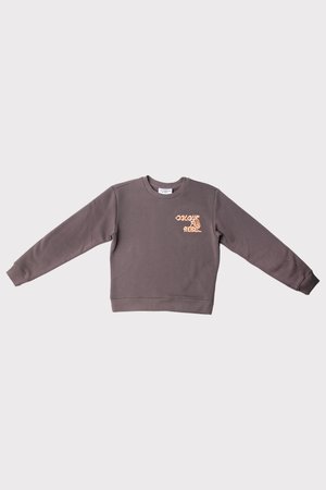 Grå hettegenser med lange ermer, ribbede mansjetter og rund hals. Har et oransje brodert design på forsiden. Myk stofftekstur.