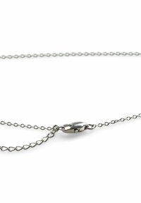 Chaîne en métal argenté avec de petits maillons ronds et un fermoir mousqueton. Le design est simple et lisse, avec une surface réfléchissante.