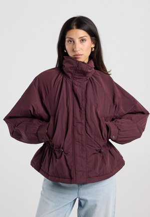 America Today, JACKET - Winterjas - bordeaux