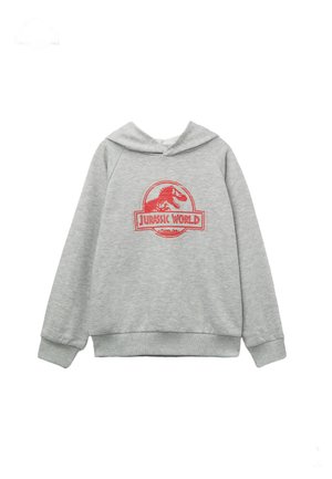 JURASSIC WORLD - Sweat à capuche - grey