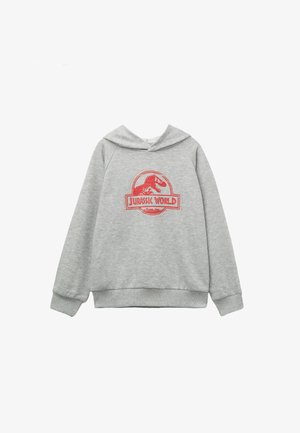 Grauer Hoodie mit langen Ärmeln, vorderen Kängurutasche und einem roten Jurassic World Logo-Graphic auf der Brust. Weicher Stoff.