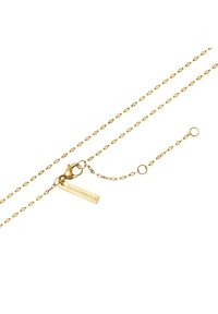 Collier en chaîne dorée présentant un design torsadé, avec un fermoir à homard et une étiquette gravée portant la mention "LIEBESKIND BERLIN." Option de longueur ajustable.