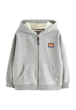 Zip-up sweatshirt - grey