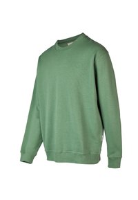 Green cotton sweatshirt featuring a crew neck, long sleeves, and a small embroidered logo in a contrasting color on the chest.