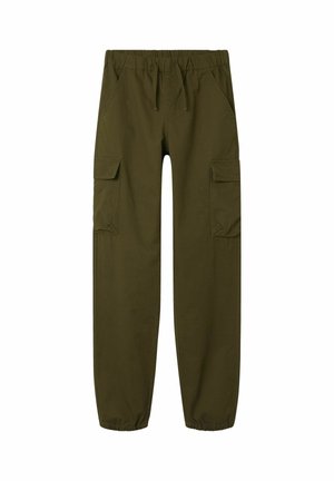 REGULAR FIT - Reisitaskuhousut - winter moss