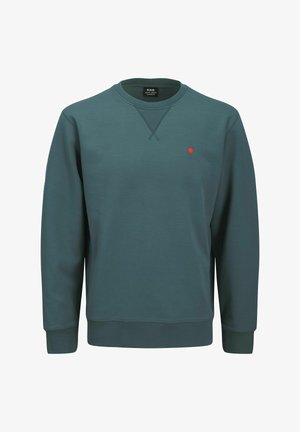 Felpa di colore verde scuro con maniche lunghe; scollatura rotonda; presenta un piccolo logo a punto rosso sul lato sinistro del petto; realizzata in tessuto morbido.