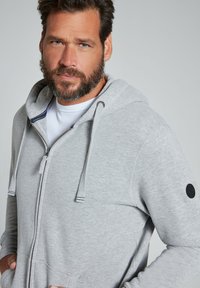 Felpa grigia chiara con zip realizzata in tessuto morbido. Presenta un cappuccio regolabile con cordoncino, una toppa nera con logo sulla manica e dettagli di cucitura diagonale.