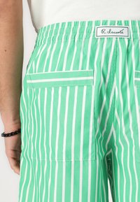 Green and white vertically striped shorts with an elastic waistband, featuring two back pockets and a label on the back.