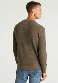 Braun gesprenkelter Strickpullover mit Rundhalsausschnitt und langen Ärmeln, der eine strukturierte Oberfläche und dezente Nahtdetails auf dem Rücken aufweist.