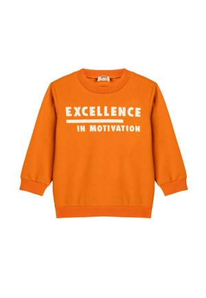 LONG SLEEVE CREW NECK PRINTED  - Sudadera - orange