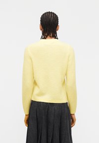 Άτομο με πλεξούδες που φοράει ανοιχτόχρωμο κίτρινο πλεκτό πουλόβερ και σκούρα πλισέ φούστα, απεικονίζεται από πίσω με φόντο λευκό.