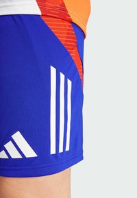 adidas Performance TIRO 24 COMPETITION - Kurze Sporthose - lucid blue   white