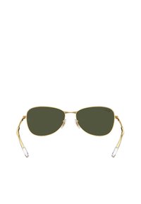 Occhiali da sole aviator in metallo dorato con lenti verde scuro, supporti nasali in gomma trasparente e punte delle aste trasparenti. Design elegante con una curva sottile.