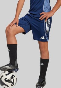 adidas Performance FUSSBALL - Kurze Sporthose - blaublau