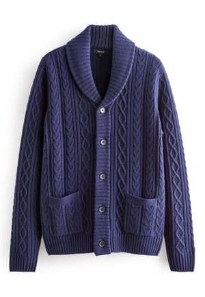 Vest - blue